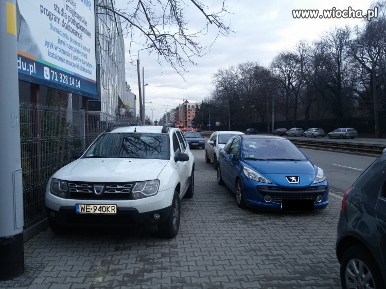 Mistrz parkowania