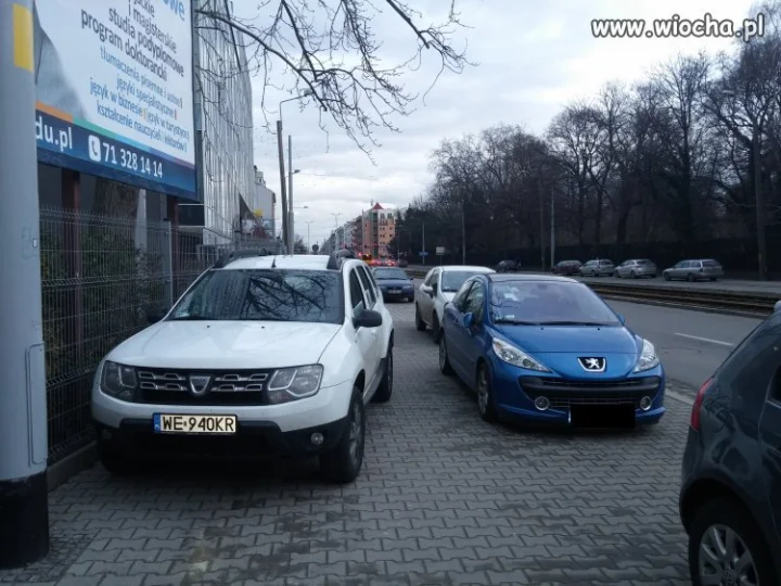 Mistrz parkowania