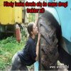 Kiedy się dowie