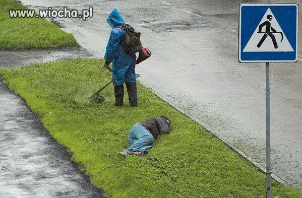 Czas na drzemkę 