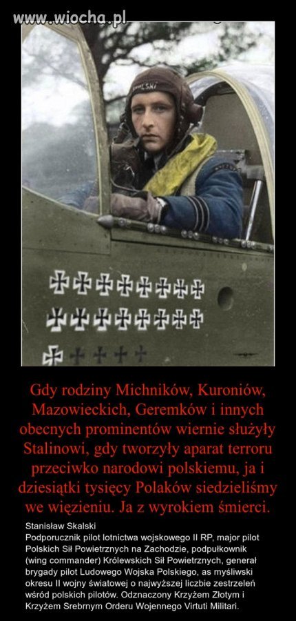 Prawdziwy bohater kontra wierne pieski.
