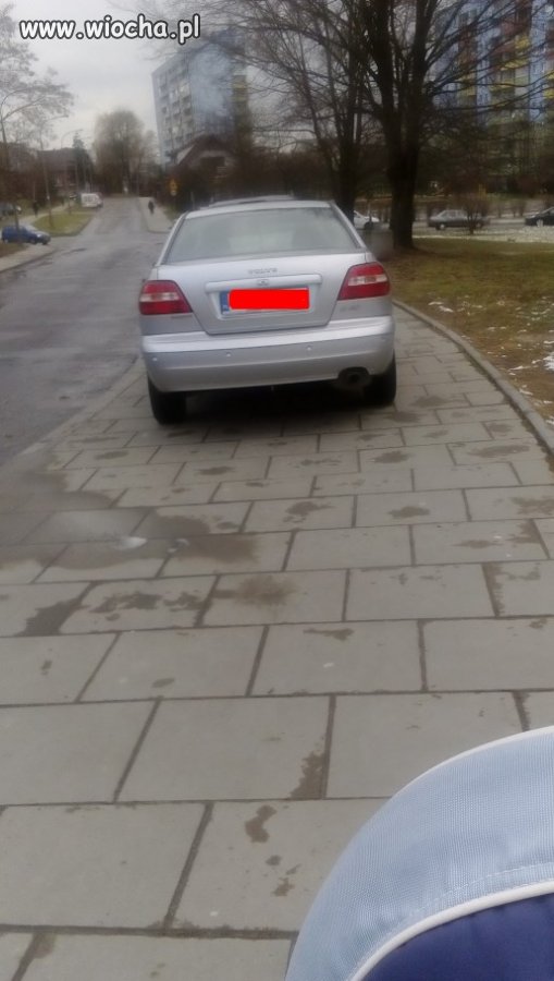 Wzywamy Straż Miejską?