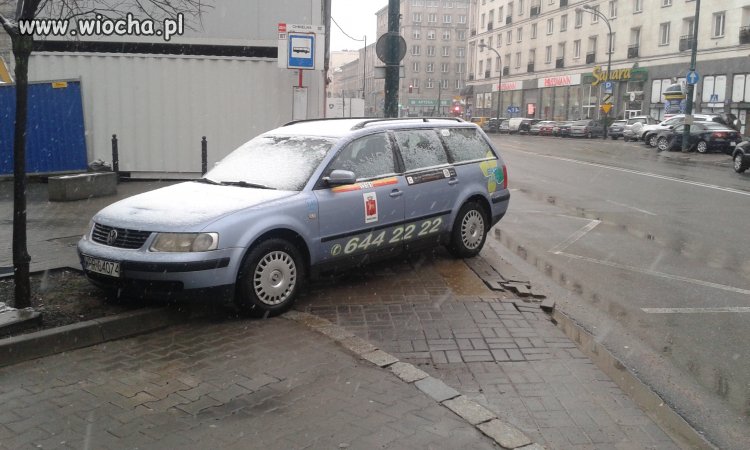 Święta krowa