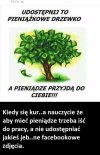 Taka prawda