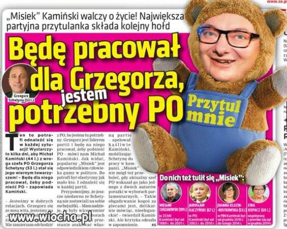 Naczelny lizodup RP.