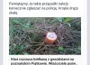 Obyś bydlaku pomylił kiełbasę w lodówce.