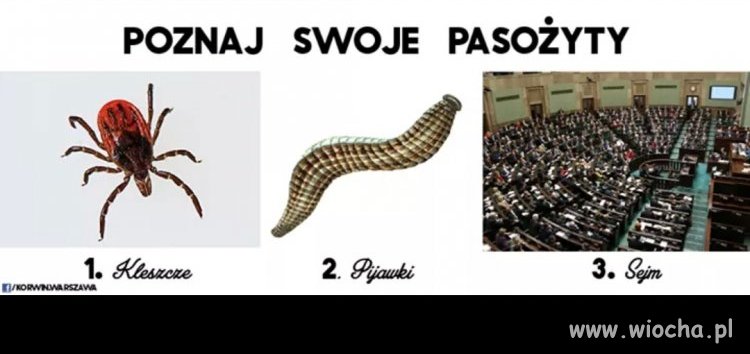 Korwin przypomina 