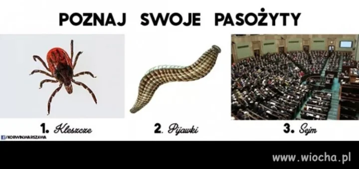Korwin przypomina 