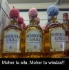 Nawet Mohery mają swoją półkę 