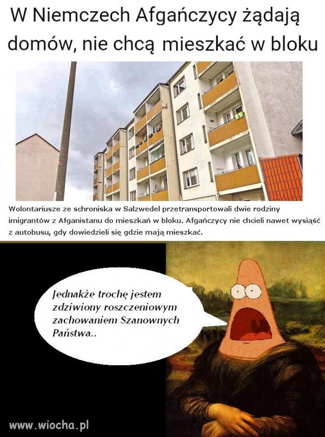 A do tego szanowni imigranci dobrali by sobie