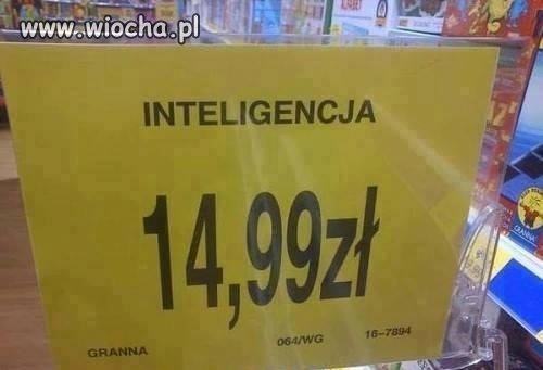Inteligencja