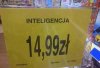 Inteligencja