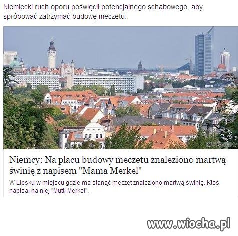 Martwa świna  na budowie meczetu.