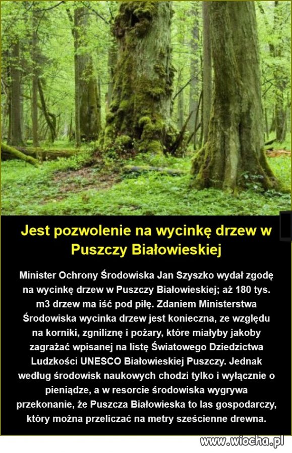 Rządy 