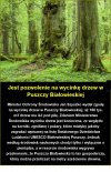 Rządy 