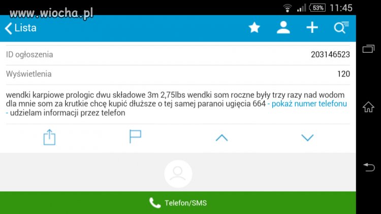 Mistrz ortografii 