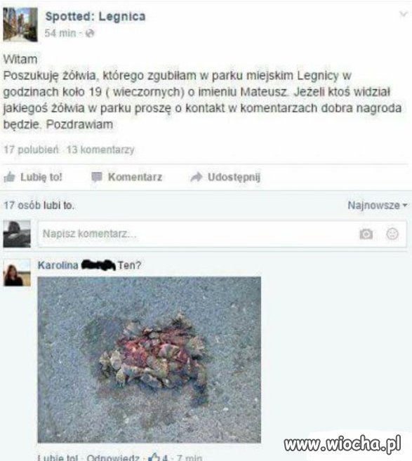 Odnalazł się.