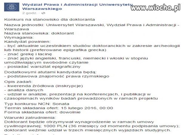 Robota jak marzenie!
