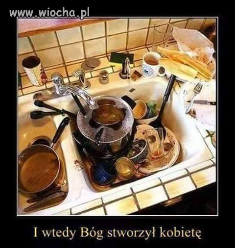 Suche fakty