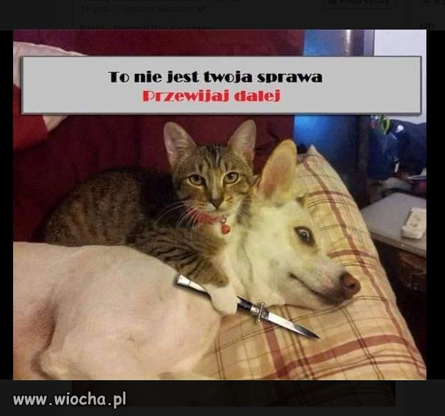 To nie twoja sprawa.