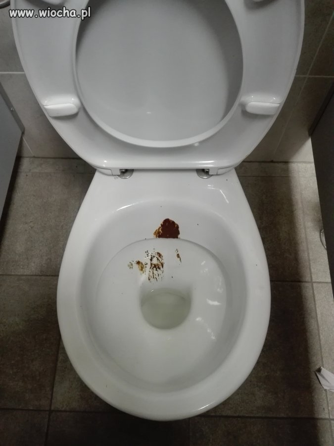 A szczotka za toaletą... 