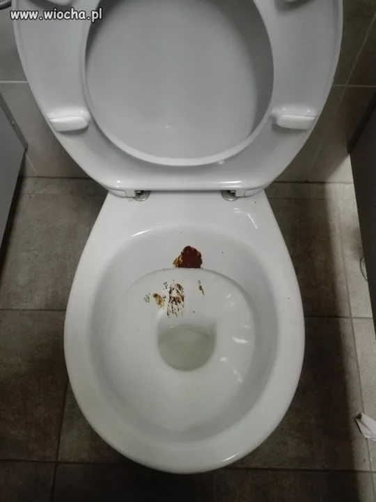 A szczotka za toaletą... 