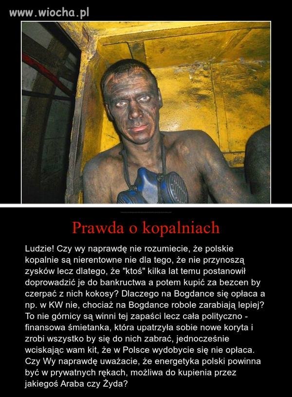 Pis z solidarnością nie będą strzelać jak za PO