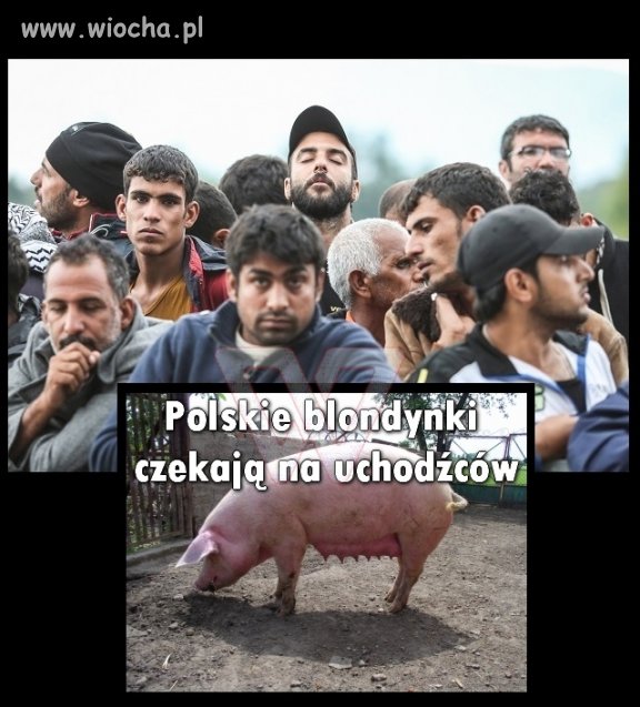 Nasze "blondynki" już czekają 