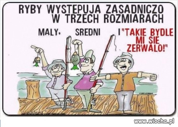 Rodzaje ryb
