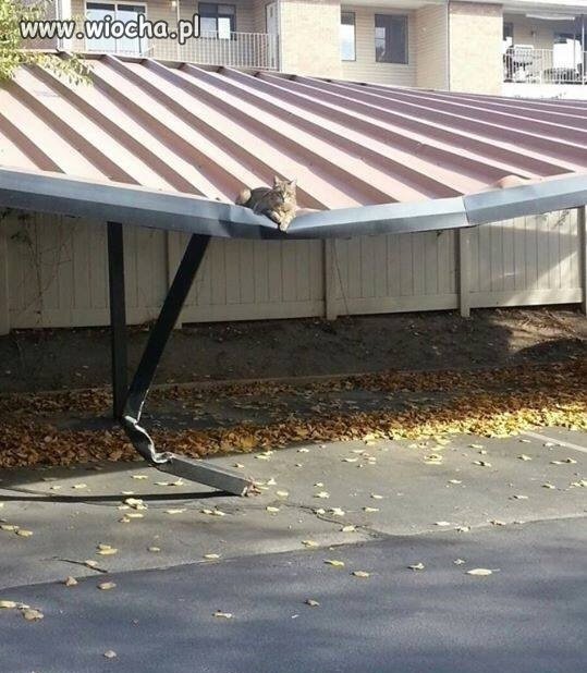 Czas na dietę
