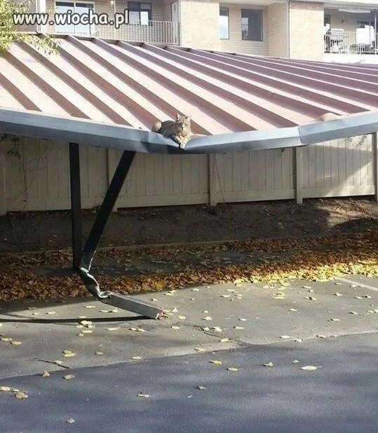 Czas na dietę