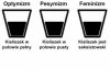 Feminizm