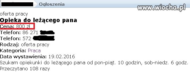 2,6 zł /h