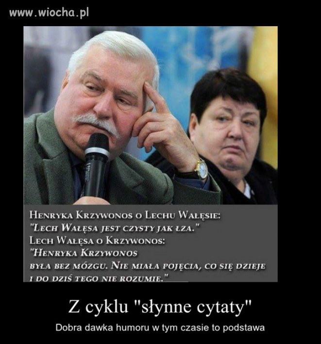 Cytaty