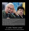 Cytaty