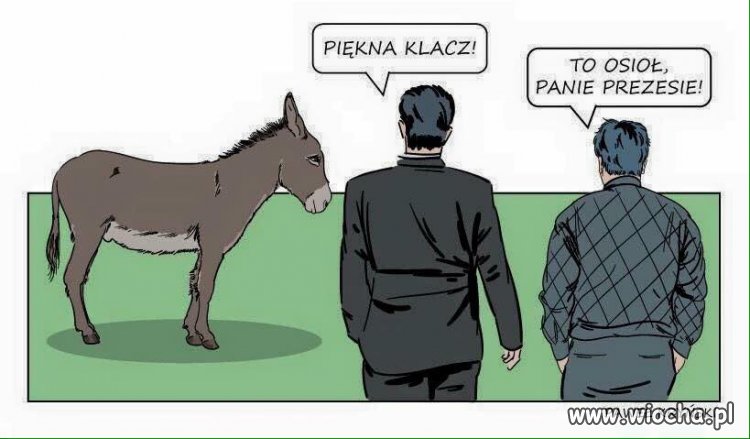 Tymczasem w Janowie Podlaskim...