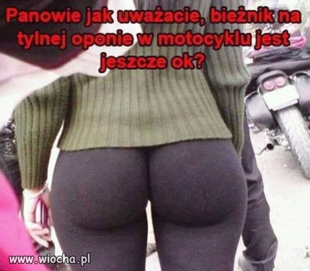 Bieżnik