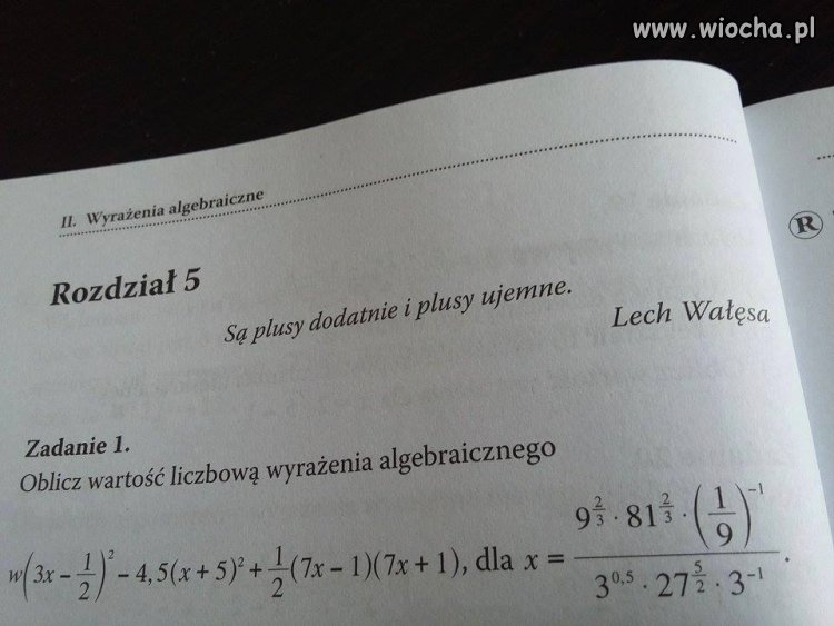 Bolek umysł ścisły