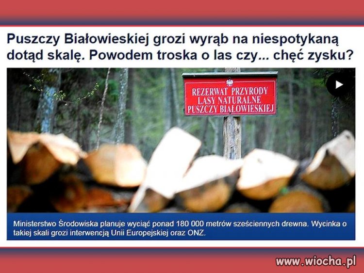 Jeśli nie wiadomo o co chodzi...