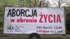 Logika feministek. 
