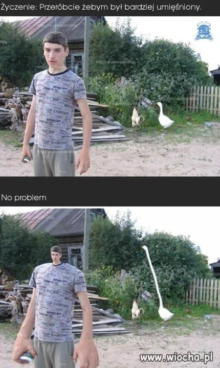 Grafik się postarał