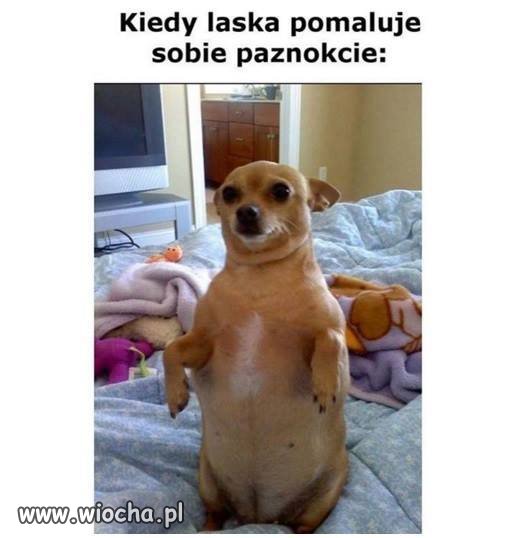 Nie dotykać 