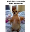 Nie dotykać 