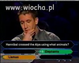 Jakich zwierząt użył Hannibal do przekroczenia Alp