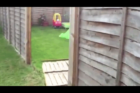 Chłopak ma talent