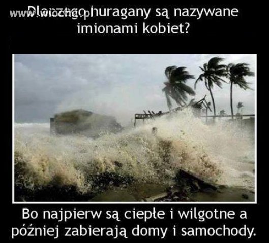 Coś w tym jest