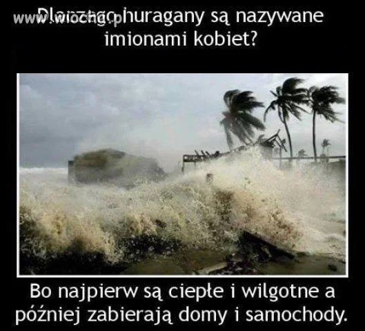 Coś w tym jest