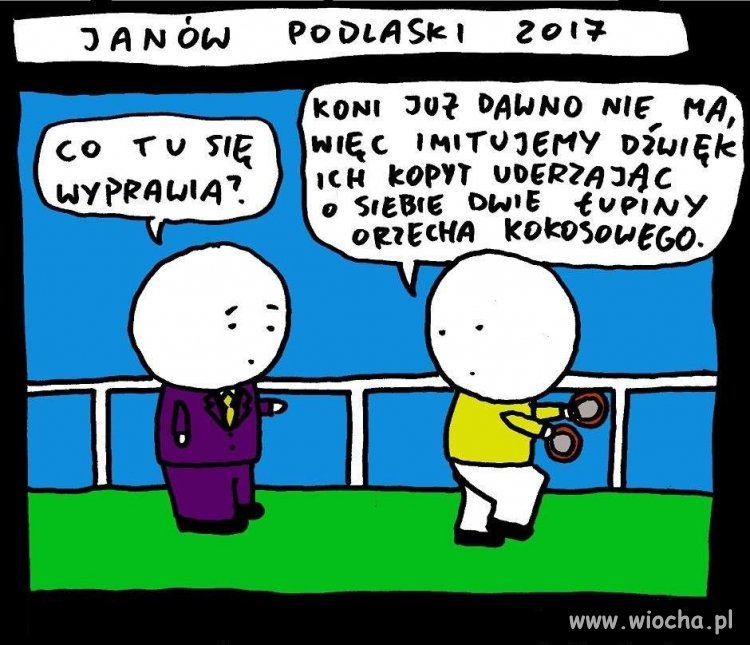 Janów Podlaski 2017