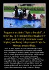 Spór o burkini