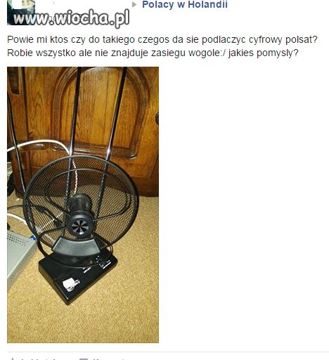 Polacy za granicą